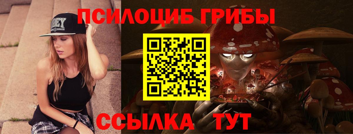 Галлюциногенные грибы Psilocybine cubensis Мариинск