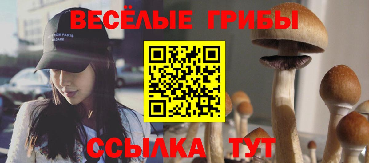 Псилоцибиновые грибы прущие грибы  Вход с VPN  Мариинск  закладки  Галлюциногенные грибы Psilocybine cubensis 
